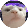 yeehawify Avatar