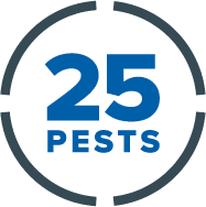 25 Pests logo with gray broken circle