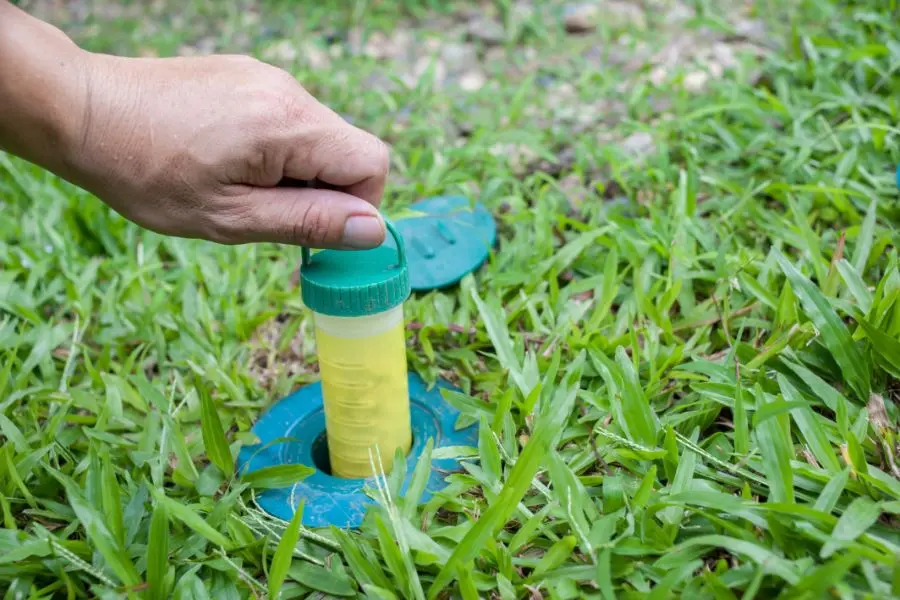 A hand inserting a yellow chemical bait tube into a green plastic termite monitoring station that has been installed flush with the ground in a green lawn.