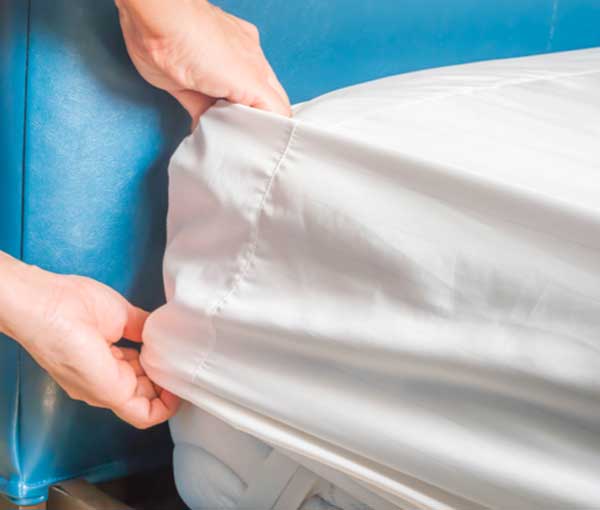 bed-bug-mattress Learn how to treat bed bugs - Active Pest Control