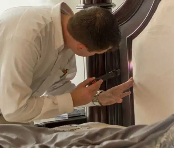 bedbug-inspection-active-formerly-allgood Bedbug Inspection - Active Pest Control