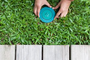 TermiteTreatment Options in your area