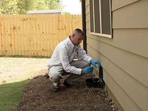 Keep Rodents Outof Your Home in your area