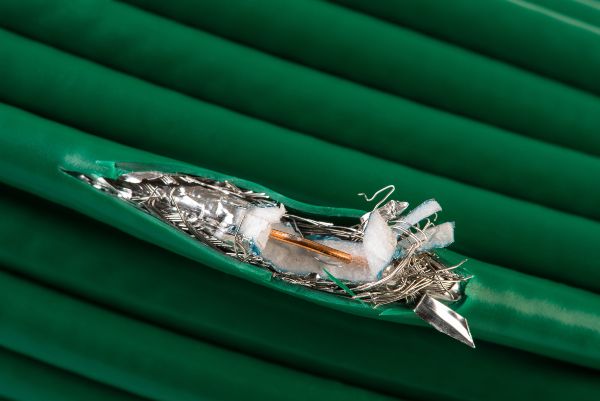 Are mice dangerous in Georgia - Active Pest Control
