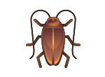 Cockroach Extermination control and removal by Active Pest Control in Georgia and Tennessee