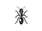 Ant extermination, removal and control by Active Pest Control in Georgia and Tennessee