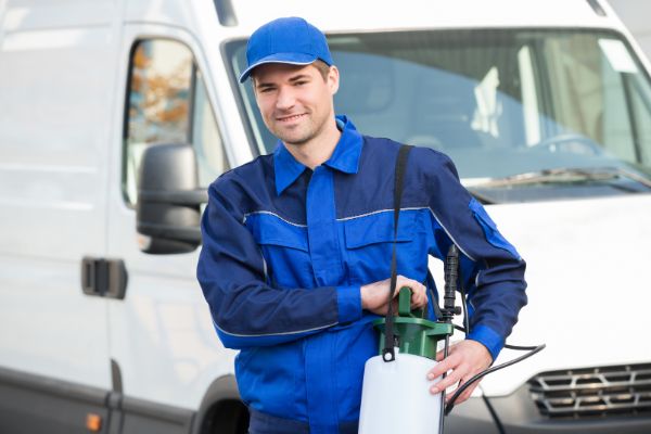 Professional bed bug exterminators - Active Pest Control