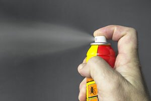DIY vs. Professional Pest Control - Active Pest Control