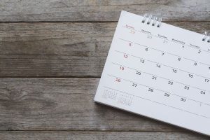When should rodent exclusion start in Georgia - Active Pest Control