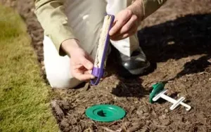 Person checking termite treatment | Active Pest Control serving Calhoun, GA