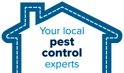 Your local pest control experts - Active Pest Control