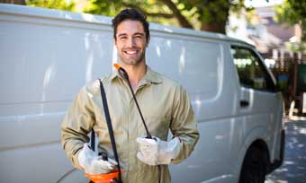 Learn about termite treatment - Active Pest Control