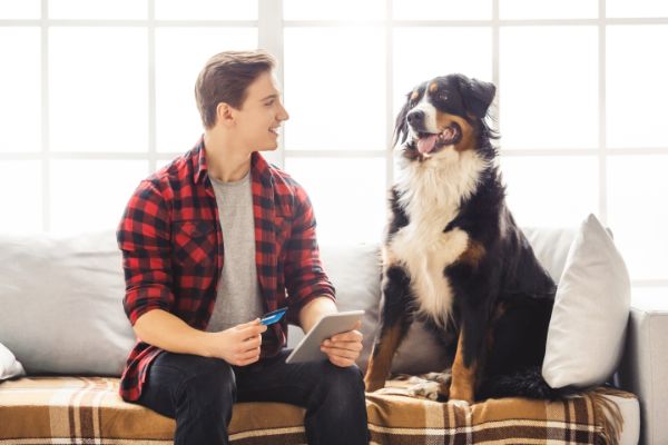 Do pets carry bed bugs  - Active Pest Control