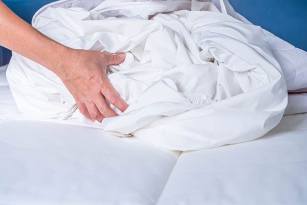 bed bug treatment - Active Pest Control