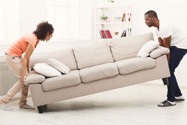 bed bug treatment - Active Pest Control