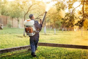 How effective is mosquito treatment - Active Pest Control