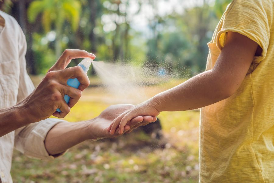 Do it yourself mosquito treatment - Active Pest Control