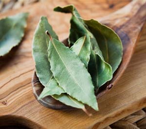 How to PreventPantry Pests in your area