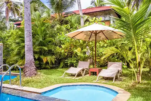 How does mosquito treatment work - Active Pest Control