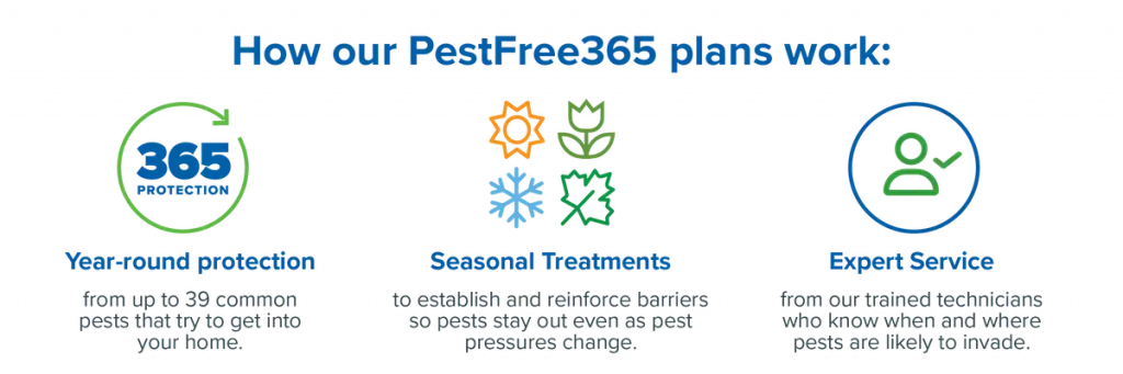 Active Pest Control - How PestFree 365 Works graphic