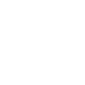 magnifying glass icon
