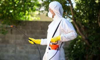 Provide a number of effective termite treatments - Active Pest Control