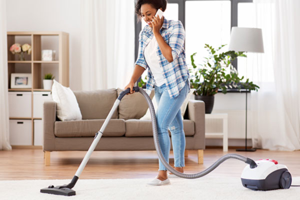 How do you get rid of bed bugs in your carpet? - Active Pest Control