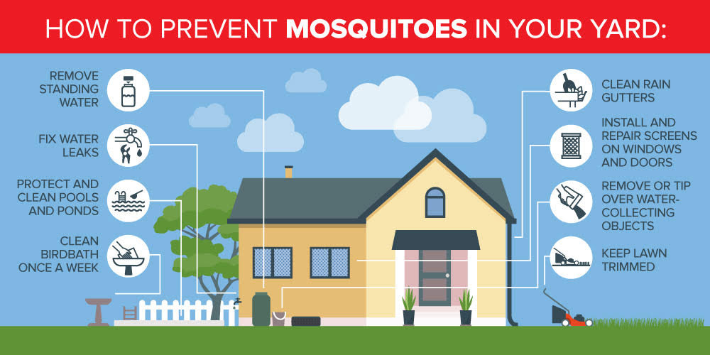How to prevent mosquitoes in Atlanta GA - Active Pest Control