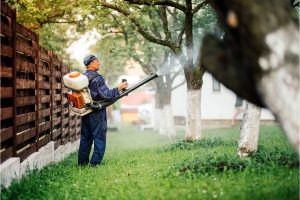 How to prevent mosquitoes in your yard - Active Pest Control