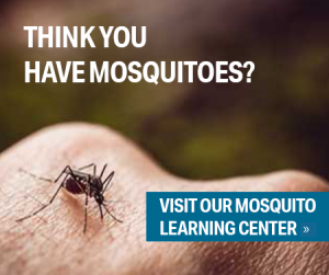 Mosquito Learning Center - Active Pest Control