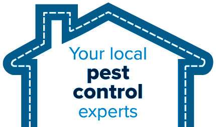 Your local pest control experts - Active Pest Control