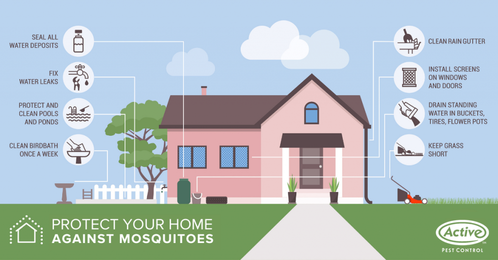 How to Prevent mosquitoes - Active Pest Control