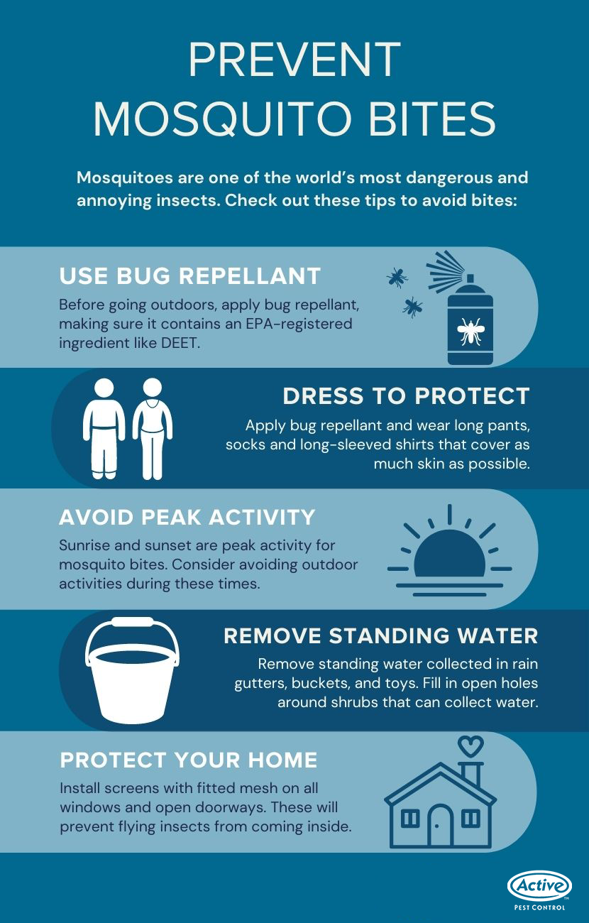How to prevent mosquito bites Active Pest Control