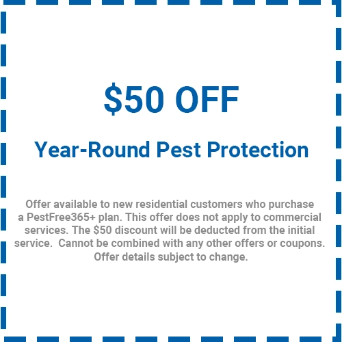 Pest Control Package Deals PestFree365+ AllYear Pest Plans