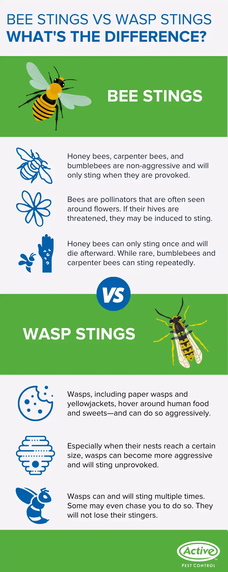 Bee vs wasp sting infographic
