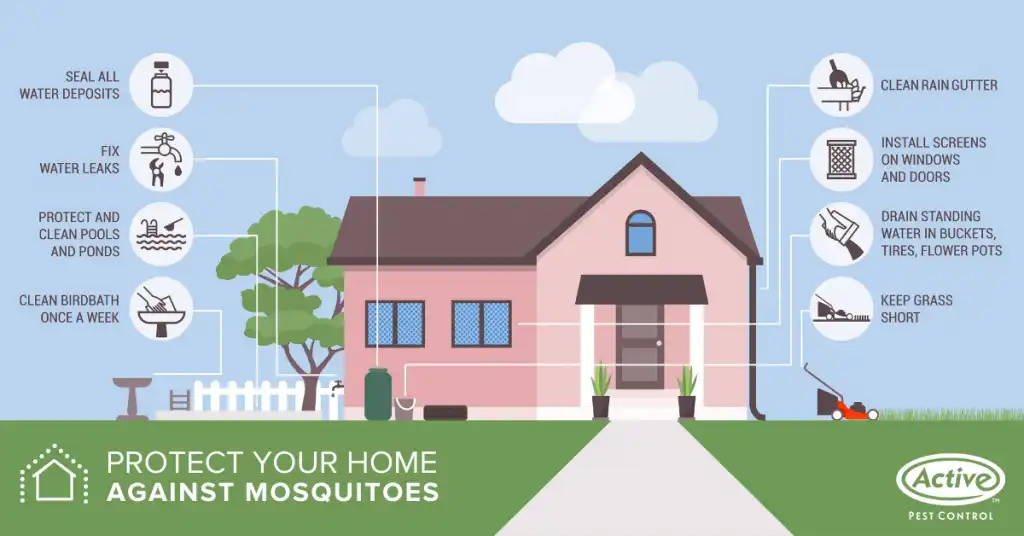 How to prevent mosquitoes infographic