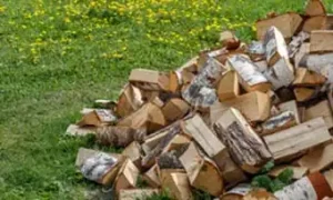 A pile of chopped wood - Active Pest Control serving Calhoun, GA