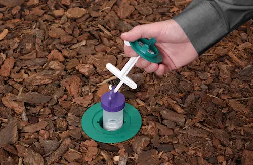 Active pest control installation of a termite bait station in bark, placed in an effort to combat Atlanta residents termites.