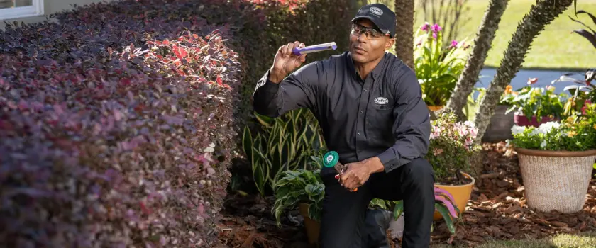An Active Pest Control technician inspects a termite bait station