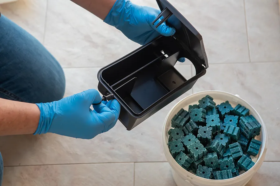 Pest control professional wearing blue protective gloves handling an open black rat bait station next to a white bucket filled with green rodenticide blocks.